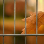 Unlocking Opportunities: The Impact of SEO on Your Bradenton Fence Installation Business Growth
