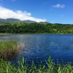 Unlocking Potential: How SEO-Driven IT Services Can Elevate Your Bradenton Business