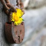 Unlocking Success: How SEO Can Elevate Your Bradenton Home Security Business