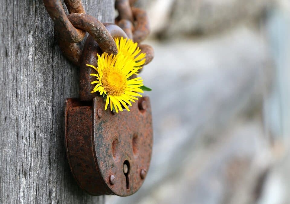 Unlocking Success: How SEO Can Elevate Your Bradenton Home Security Business