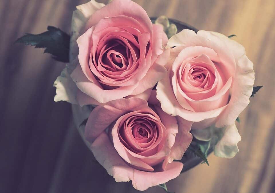 Unveiling the Power of SEO for Bradenton Wedding Planners: Attracting Local Couples with Online Strategies