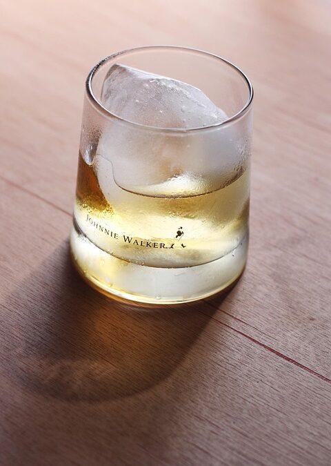 “Wagging Tails and Winning Sales: Unlocking the Power of SEO for Bradenton’s Dog Walking Entrepreneurs”