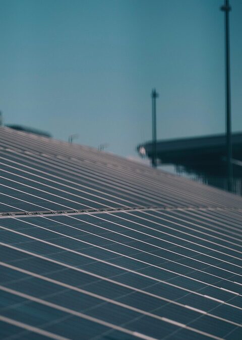 Watt’s the Secret? Why Local Solar Panel Installers Need PPC to Thrive in Bradenton