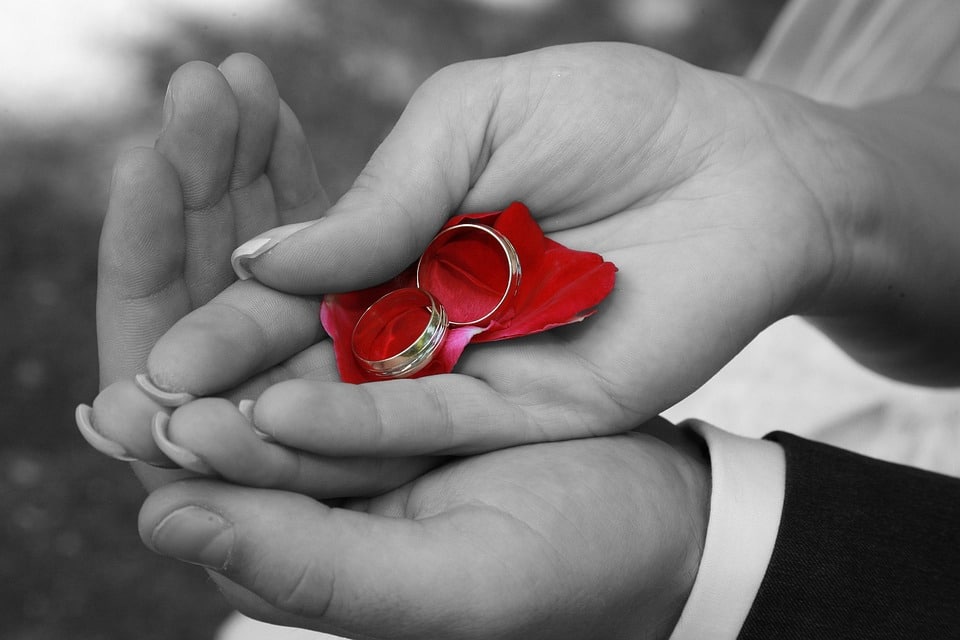 “Weddings Are Forever, But Your Ads Shouldn’t Be: How Sarasota Wedding Planners Can Thrive with Targeted PPC Campaigns”