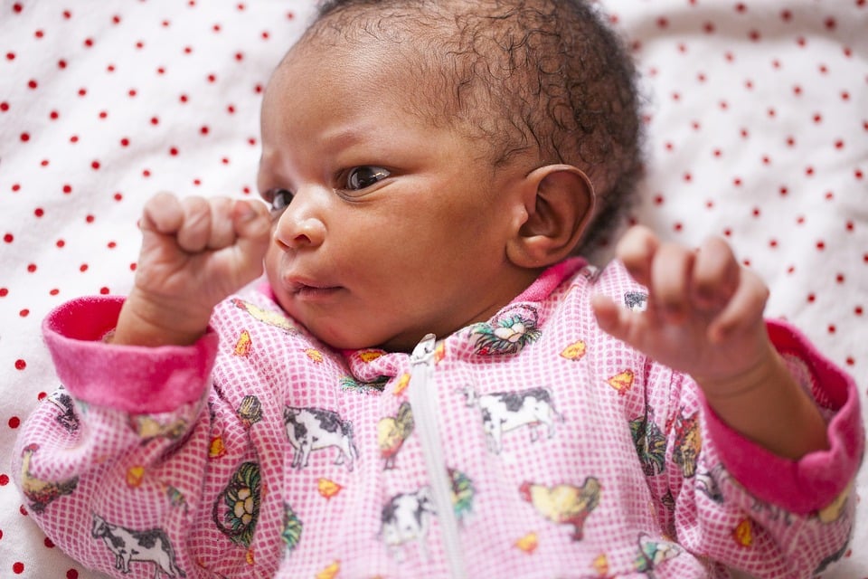 Why SEO is Your Child Care Center's Secret Weapon in Sarasota's Competitive Market