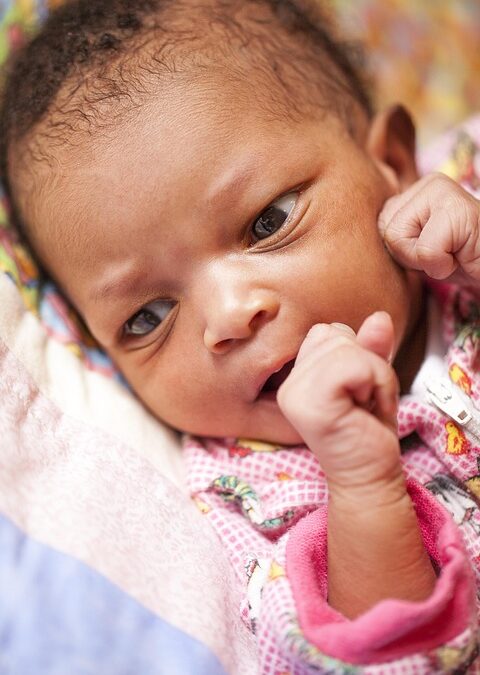 Why Your Bradenton Child Care Center Can't Afford to Ignore SEO: The Key to Local Visibility