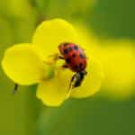 Window to Growth: Harnessing SEO to Elevate Your Bradenton Window Replacement Brand