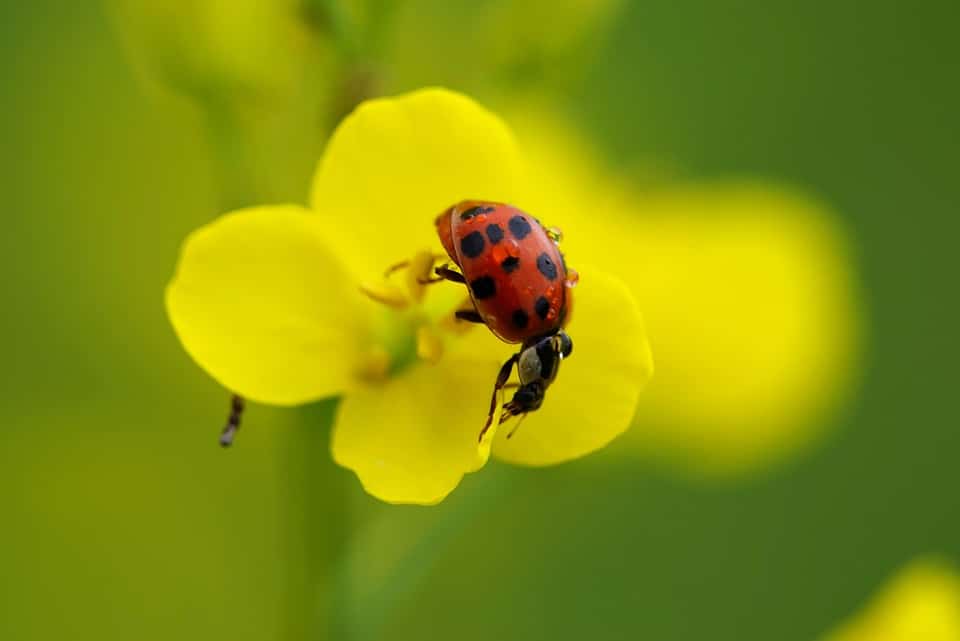 Window to Growth: Harnessing SEO to Elevate Your Bradenton Window Replacement Brand