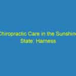 Chiropractic Care in the Sunshine State: Harness the Power of PPC to Attract More Patients in Sarasota!