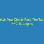 Fetch New Clients Fast: The Top 5 PPC Strategies for Sarasota Veterinarians