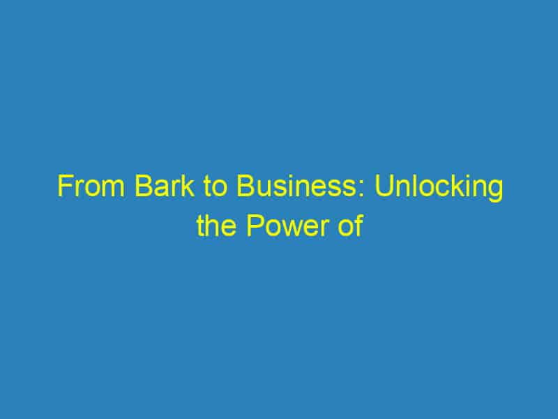 From Bark to Business: Unlocking the Power of Local SEO for Sarasota Vet Clinics
