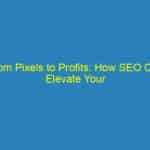 From Pixels to Profits: How SEO Can Elevate Your Bradenton Videography Business
