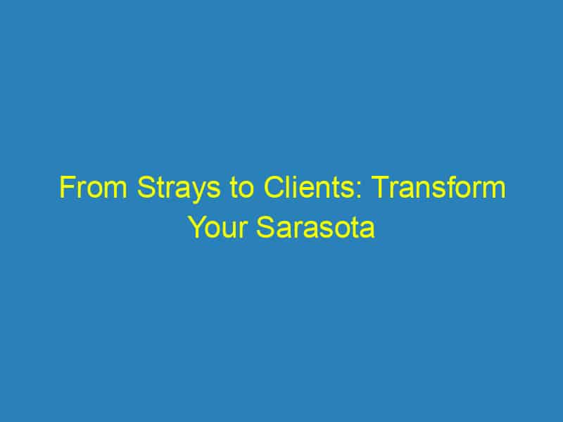 From Strays to Clients: Transform Your Sarasota Veterinary Practice with Targeted PPC Campaigns