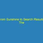 From Sunshine to Search Results: The Transformative Power of SEO for Sarasota Small Businesses