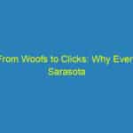 From Woofs to Clicks: Why Every Sarasota Veterinarian Needs a Strong SEO Plan