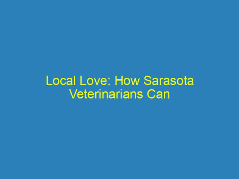 Local Love: How Sarasota Veterinarians Can Harness SEO to Build a Loyal Pet Owner Community