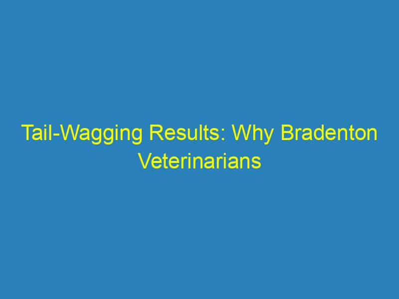 Tail Wagging Results: Why Bradenton Veterinarians Should Invest in PPC Marketing Today