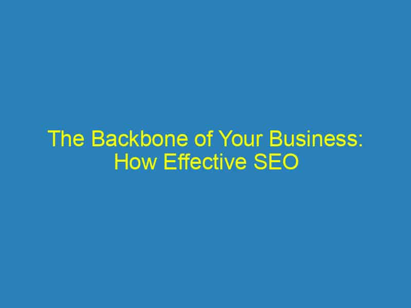 The Backbone of Your Business: How Effective SEO Can Transform Your Sarasota Chiropractic Practice