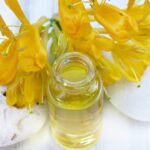 Unlocking Growth: How SEO Can Elevate Your Bradenton Massage Therapy Business