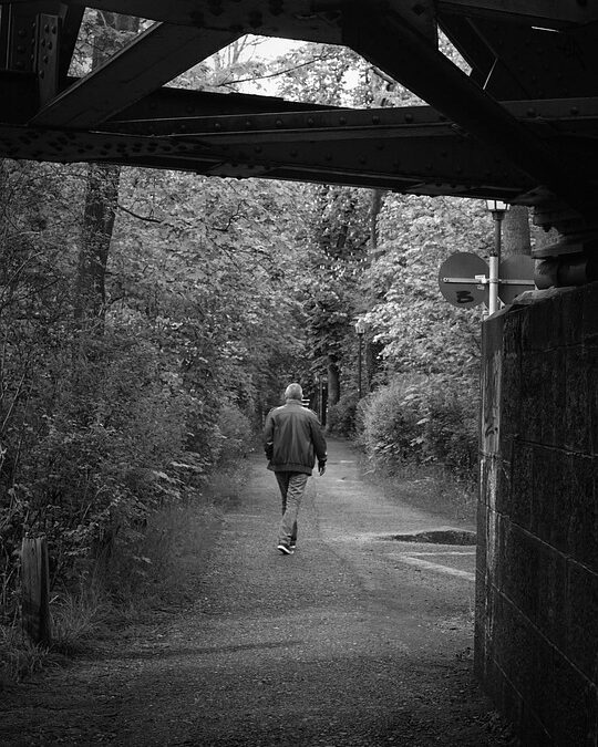 Barking Up the Right Tree: Discover the Benefits of PPC for Local Dog Walkers in Sarasota