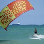 Barking Up the Right Tree: Why Sarasota Pet Boarders Can't Afford to Ignore PPC Marketing!