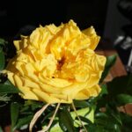 Bathe in Success: Harnessing the Power of SEO to Attract More Clients to Your Bradenton Spa