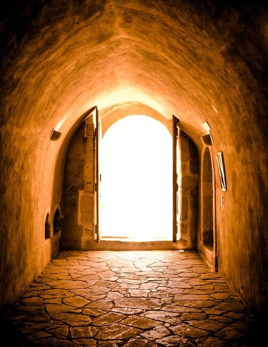 Beyond the Door: The Untapped Potential of SEO for Sarasota's Garage Door Repair Services