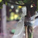 Beyond the Service: Unlocking the Power of SEO for Sarasota’s Funeral Businesses