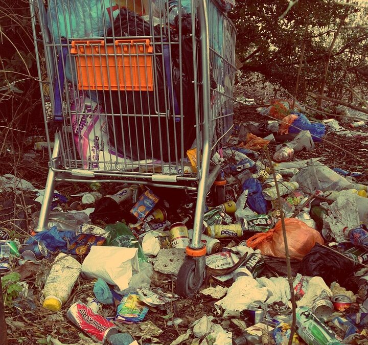 Bidding Your Way to Success: Why Bradenton Junk Removal Businesses Can't Afford to Ignore PPC Strategies