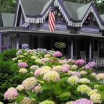 Blooming Online: Harnessing PPC to Grow Your Landscaping Presence in Bradenton
