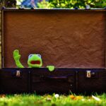 Boost Visibility and Drive Sales: The Powerful Impact of SEO on Your Bradenton Junk Hauling Service