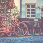 Boost Your Banquet: The Hidden Power of PPC Advertising for Sarasota's Caterers