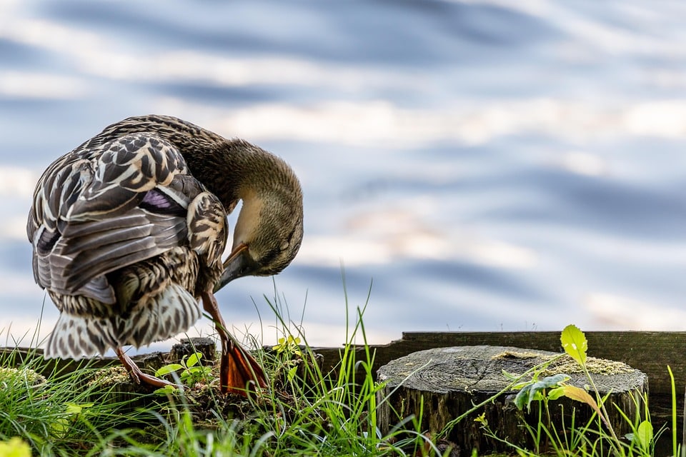 Boost Your Bradenton Gym: How SEO Can Transform Your Personal Training Business