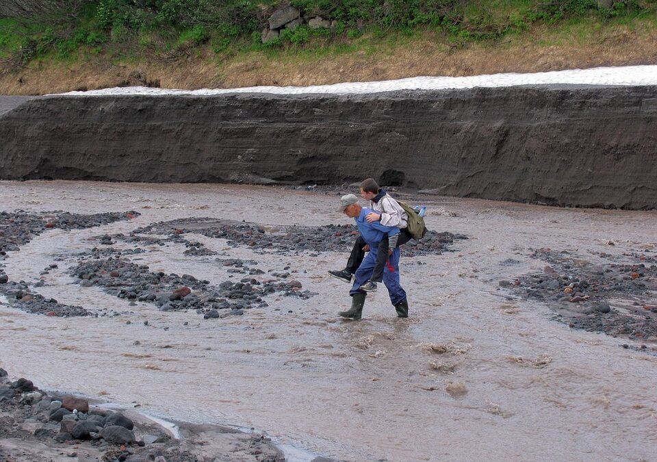 Boost Your Bradenton Moving Business: How SEO Can Drive Local Customers to Your Door