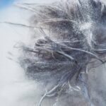 Boost Your Bradenton Physical Therapy Practice: How PPC Advertising Can Drive Local Clients to Your Door