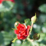 Boost Your Day Spa's Visibility: The Top 5 PPC Strategies That Work for Bradenton's Local Businesses!