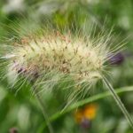 Boost Your Gutter Cleaning Business in Bradenton: How PPC Can Fill Your Pipeline with Local Customers!