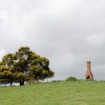 Boost Your Sarasota Business: The Vital Role of SEO in Attracting New Chimney Sweep Customers