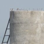 Boost Your Sarasota Septic Tank Service: Unlocking New Customers with PPC Magic!