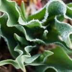 Boost Your Spa Bookings: The Power of PPC Advertising in Bradenton