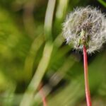 Bradenton Lawn Care Entrepreneurs: Unlock Local Growth with Targeted PPC Strategies