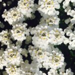 Breathe Easy: 5 SEO Tips to Help Your Sarasota Day Spa Stand Out in a Competitive Market