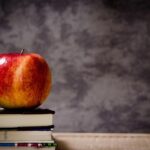 Buckle Up for Business: Why Sarasota's Driving Schools Can't Afford to Ignore SEO