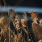 Building Strong Foundations: How Sarasota Land Grading Companies Can Thrive with SEO