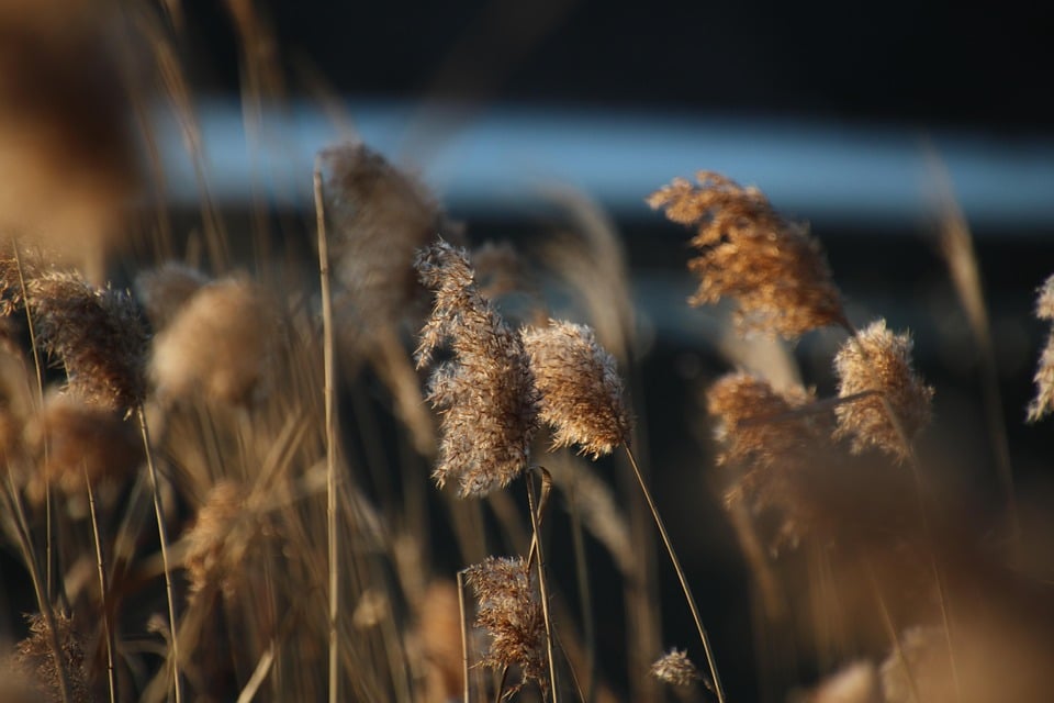 Building Strong Foundations: How Sarasota Land Grading Companies Can Thrive with SEO