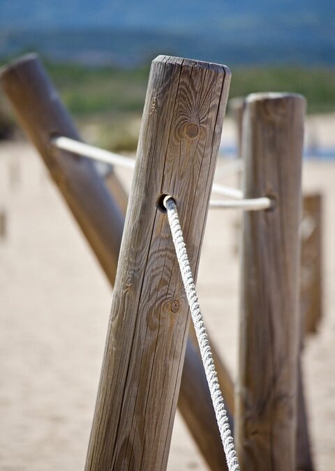 Building Stronger Leads: The Essential Role of SEO in Your Bradenton Fence Installation Strategy