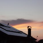 Chimney Cleaning and Clicks: The SEO Strategy Every Sarasota Small Business Owner Should Know