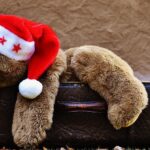 Clean Out the Competition: 5 SEO Tips for Sarasota Junk Haulers to Drive Local Business