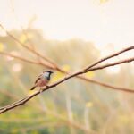 Cleaning Up Online: 5 SEO Tips Every Bradenton House Cleaner Needs to Know