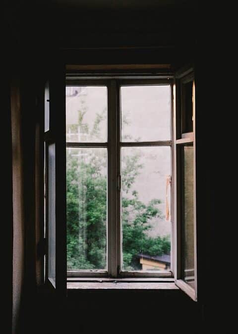 Clear Views & Higher Sales: How PPC Can Transform Your Sarasota Window Replacement Business